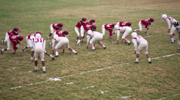 Me, Natalie (1969) download