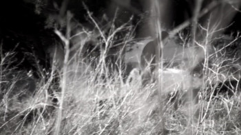 Medicine for Melancholy (2008) download