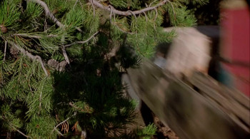 Meet the Deedles (1998) download