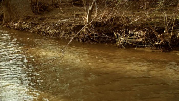 Mega Piranha (2010) download