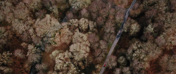 Mercy Falls (2023) download