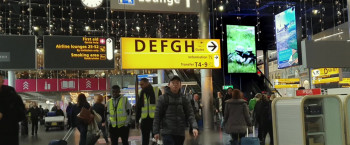 Perpetuity (2021) download