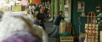 Misfire (2014) download