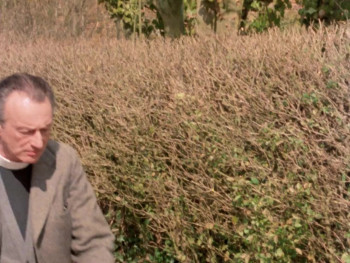 Agatha Christie's Miss Marple: The Murder at the Vicarage (1986) download