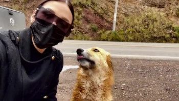 Miss Universe (0000) download