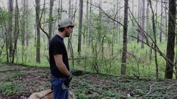 #MissingCouple (2024) download