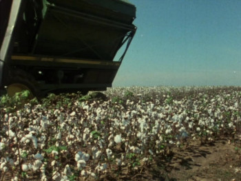 Mississippi Triangle (1984) download