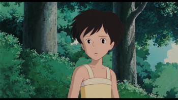 Miyazaki: L'Esprit de la Nature (2024) download
