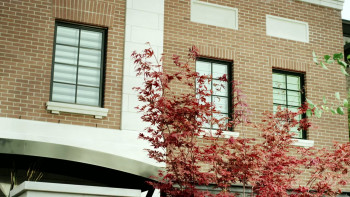 Modeled with Love (2023) download