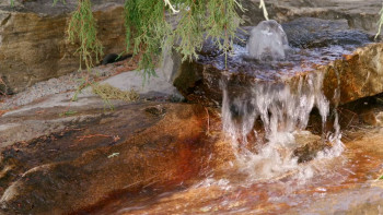 Modeled with Love (2023) download