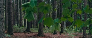 Mohawk (2017) download