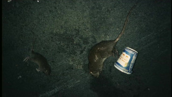 Moments Like This Never Last (2020) download