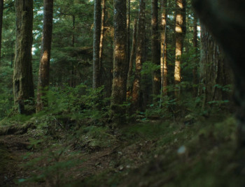 Mongrels (2024) download