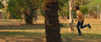 Monica and Friends: Bonds (2019) download