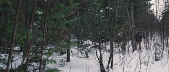 Monster Awakens (2024) download