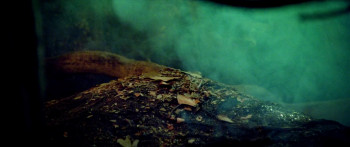 Moon Garden (2022) download