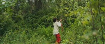 Moon the Panda (2025) download