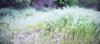 Moon of the Blood Beast (2019) download