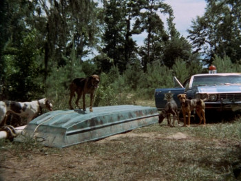 Moon of the Wolf (1972) download