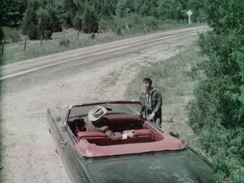 Moonshine Mountain (1964) download