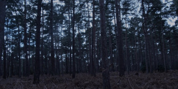 Mother Maker Lover Taker (2024) download