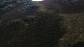 Mountain Shark (2024) download