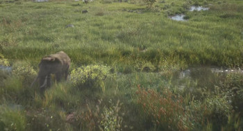 Mufasa: The Lion King (2024) download