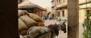 Murder at the Embassy (2025) download