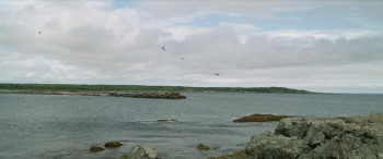 Murder in the Cove (2020) download