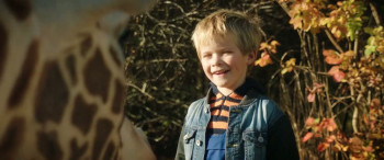 My Giraffe (2017) download