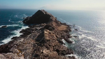 My Mercury (2024) download