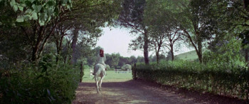 The Young, the Evil and the Savage (1968) download