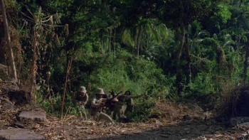 Nam Angels (1989) download