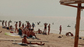 Nanoshark (2024) download