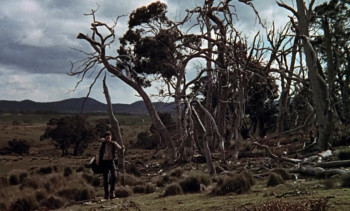 Ned Kelly (1970) download