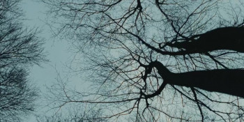 Unspoken (2023) download