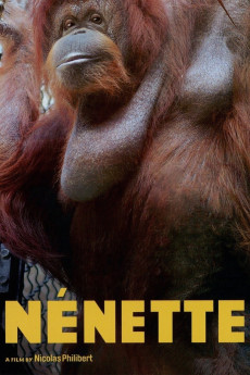 Nénette (2010) download