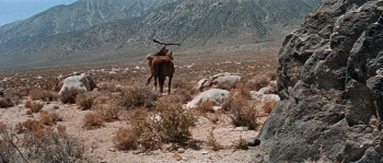 Nevada Smith (1966) download