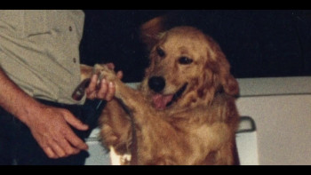 Never Get Busted! (2025) download