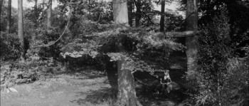 Never Take Candy from a Stranger (1960) download