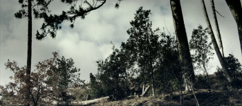 Neverlake (2013) download