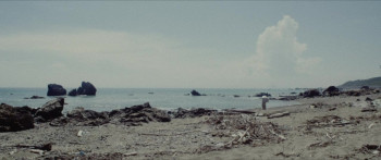 New Religion (2022) download