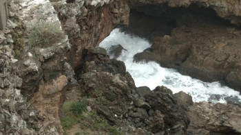 Night of Open Sex (1983) download