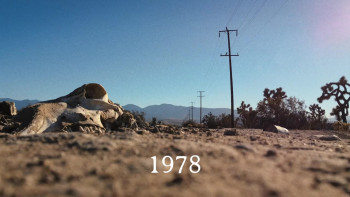 Night of the Bastard (2022) download