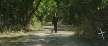 Night of the Werewolves (2024) download