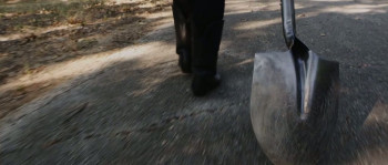 Night of the Werewolves (2024) download