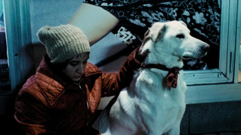 Night Shapes (1999) download