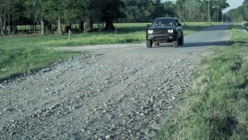 Nightmare Shark (2018) download