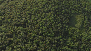 No Festival: A Concert for No One (2020) download