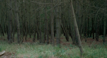 Noroît (1976) download